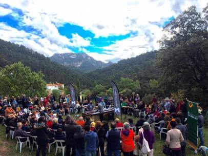 Festival Música en Segura