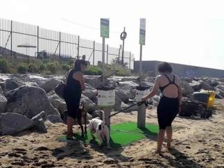 Playa de perros de Barcelona