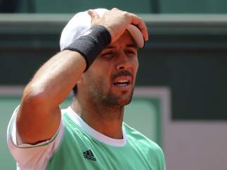 Fernando Verdasco