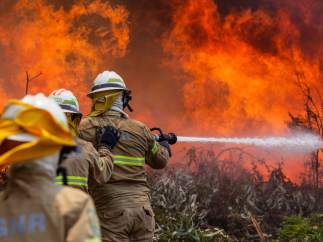 Incendio en Portugal