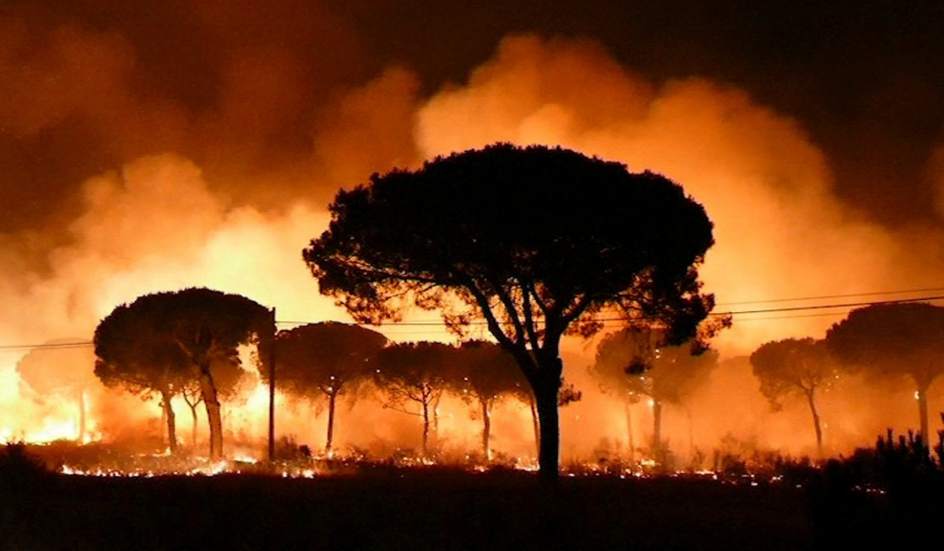 Resultado de imagen para Incendio forestal provoca evacuación en Doñana