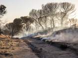 Cuesta Maneli calcinada tras el incendio junto a Doñana