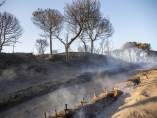 INCENDIO MOGUER , ACCESO PLAYA CUESTA MANELI