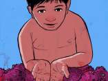El niño y el cangrejo El niño y el cangrejo