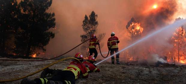 Bomberos tratando de extinguir el fuego en Mangualde (Portugal) 