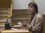 El parlamentario 'jeltzale' Luis Javier Tellería