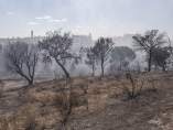 Efectos del incendio en el entorno de Doñana una semana después de declararse