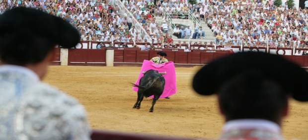 Plaza toros la malagueta diputación