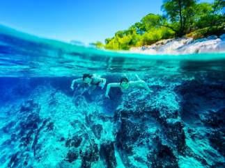 Buceo