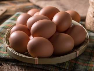 Huevos