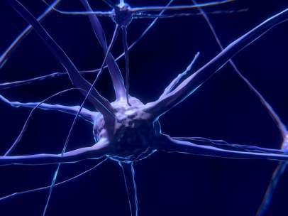 Neuronas