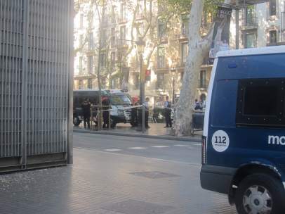 Mossos