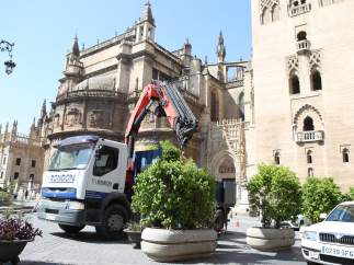 Colocación de macetones en la Plaza Virgen De Los Reyes.