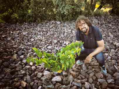 El viñador Fernando Mora, Master of Wine