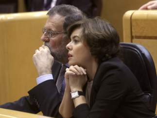 Rajoy en el Senado