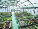 Vivero de Torremolinos plantas muestras convertir centro especial empleo natural
