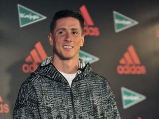 Fernando Torres