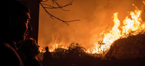 Observando el fuego en Galicia