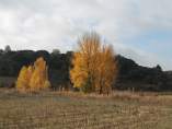 otoño