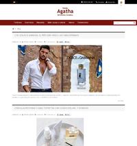 http://www.tiendasagatha.com/es/blog.html