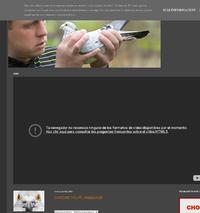 http://www.nieripigeons.blogspot.com