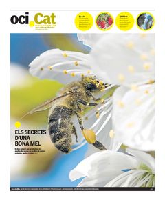 Portada Oci.Cat