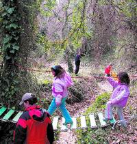 Badalona celebra la Festa del Bosc Badalona celebra la Festa del Bosc