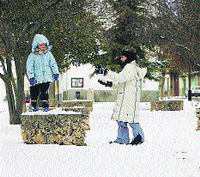 Cae nieve Cae nieve