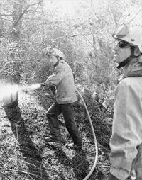 El fuego del Baix Camp quema casi 100 hectáreas El fuego del Baix Camp quema casi 100 hectáreas