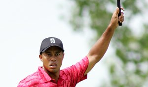 tiger woods tiger woods