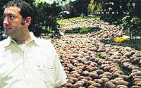 Tunick modela els cossos Tunick modela els cossos