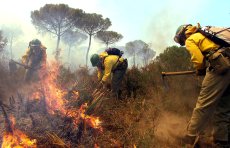 Incendio en Moguer Incendio en Moguer