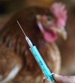 gripe aviar vacuna gripe aviar vacuna