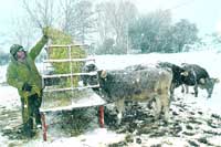 El frío, la lluvia y la nieve seguirán hasta el martes El frío, la lluvia y la nieve seguirán hasta el martes