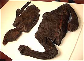 Doñinos de salamanca solteros catolicos Doñinos de salamanca solteros catolicos