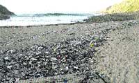 La cala de Bens sigue llena de basura tras el vertido del sábado La cala de Bens sigue llena de basura tras el vertido del sábado