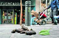 Sólo 3 multas en 2005 por ‘olvidarse’ la caca del perro Sólo 3 multas en 2005 por ‘olvidarse’ la caca del perro
