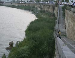 Numerosos curiosos se agolpan a las orillas de la zona donde ha aparecido varada la escultura (R.S). Numerosos curiosos se agolpan a las orillas de la zona donde ha aparecido varada la escultura (R.S).