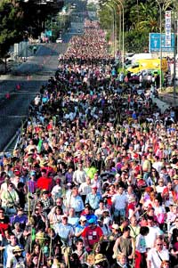 Más de 250.000 peregrinos Más de 250.000 peregrinos