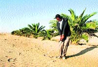 Golf entre dunas en Namibia Golf entre dunas en Namibia