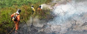 Incendio Asturias Incendio Asturias