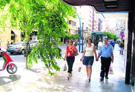 Un árbol que cierra el paso Un árbol que cierra el paso