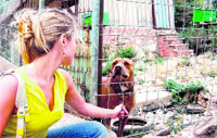 Adoptan animales para vigilar huertos ilegales en el Carmel Adoptan animales para vigilar huertos ilegales en el Carmel