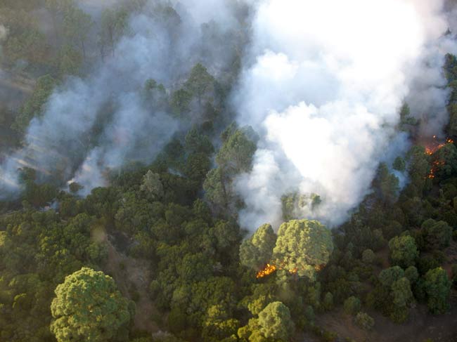 Incendio forestal en El Hierro Incendio forestal en El Hierro