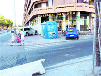 Paso de cebra «invisible» en la avenida de los Almogáraves Paso de cebra «invisible» en la avenida de los Almogáraves