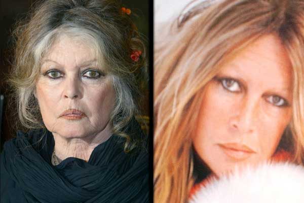 Brigitte Bardot Brigitte Bardot