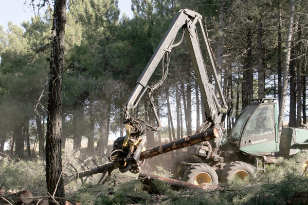 Un operario trabaja con una de las máquinas utilizadas en la tala de árboles para construir la Ciudad del Golf, en las Navas del Marqués.(Jonathan Martin / EFE ) Un operario trabaja con una de las máquinas utilizadas en la tala de árboles para construir la Ciudad del Golf, en las Navas del Marqués.(Jonathan Martin / EFE )