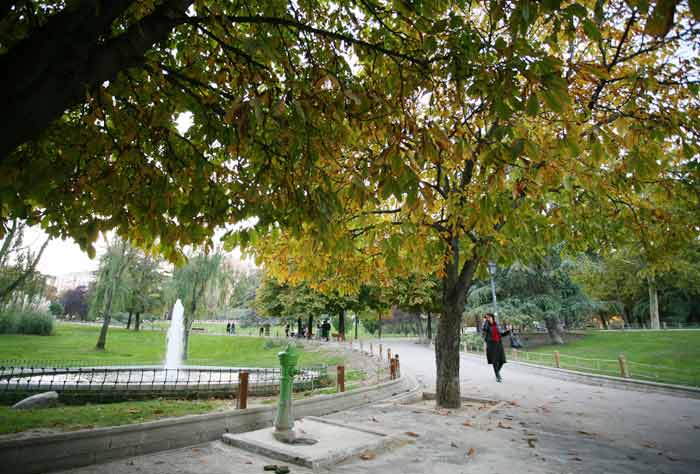 Primavera tardía en Madrid Primavera tardía en Madrid