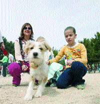 La protectora de Vigo no da perros para regalar La protectora de Vigo no da perros para regalar