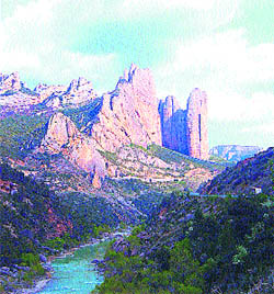 La amenaza del pantano La amenaza del pantano